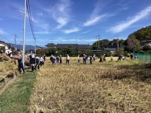 ５年生稲刈りの有線放送「学校の窓」