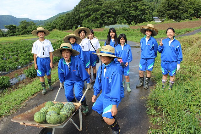 復活！麦わら帽子の会」スイカをとりました。 – 伊那市立長谷中学校