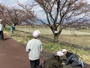 春の桜並木活動