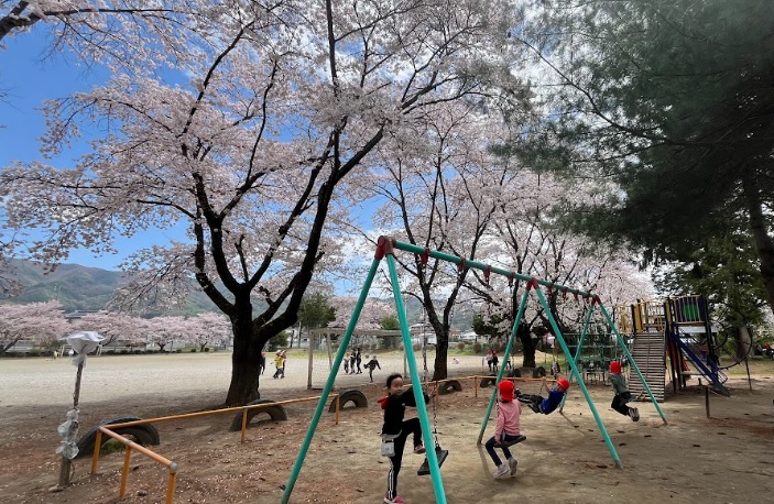 今年も見事に咲き誇りました…最後の桜