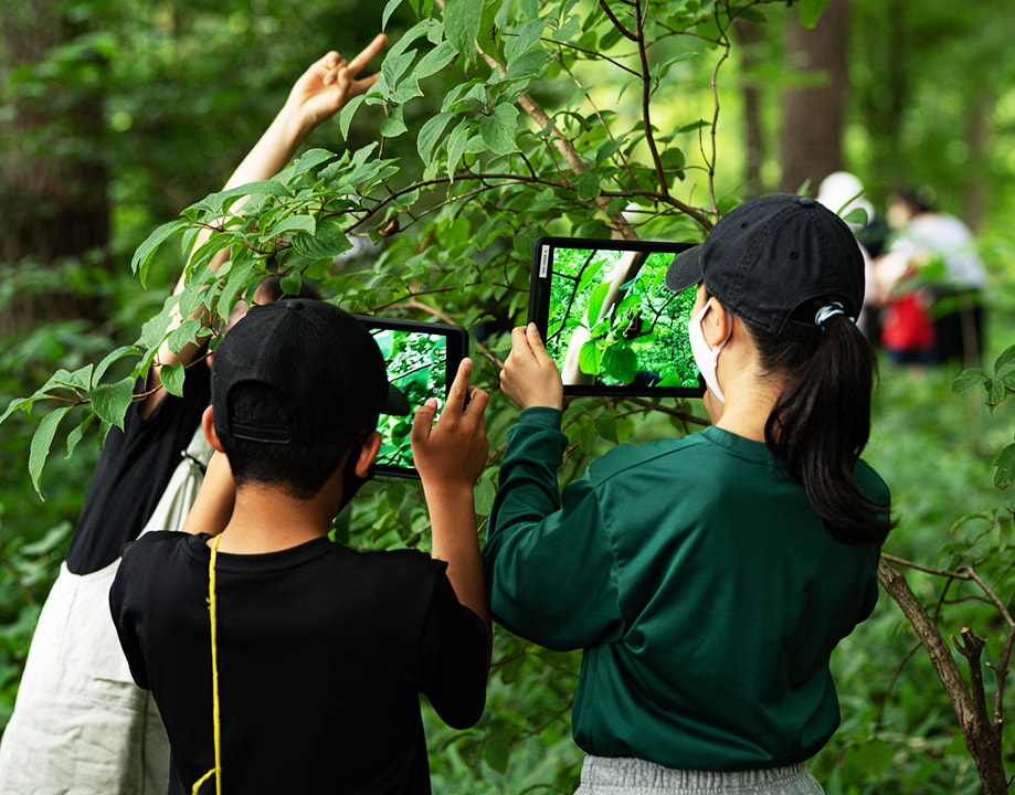 森で見つけた気になる動植物