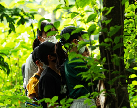 5年生の学び風景